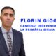 florin gioga
